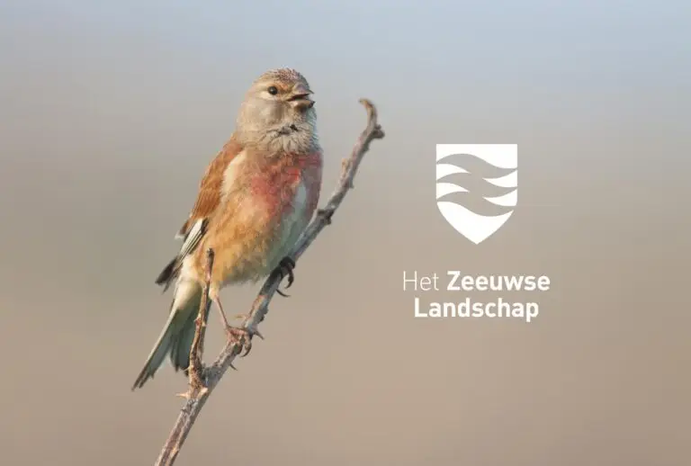 Stichting Het Zeeuwse Landschap